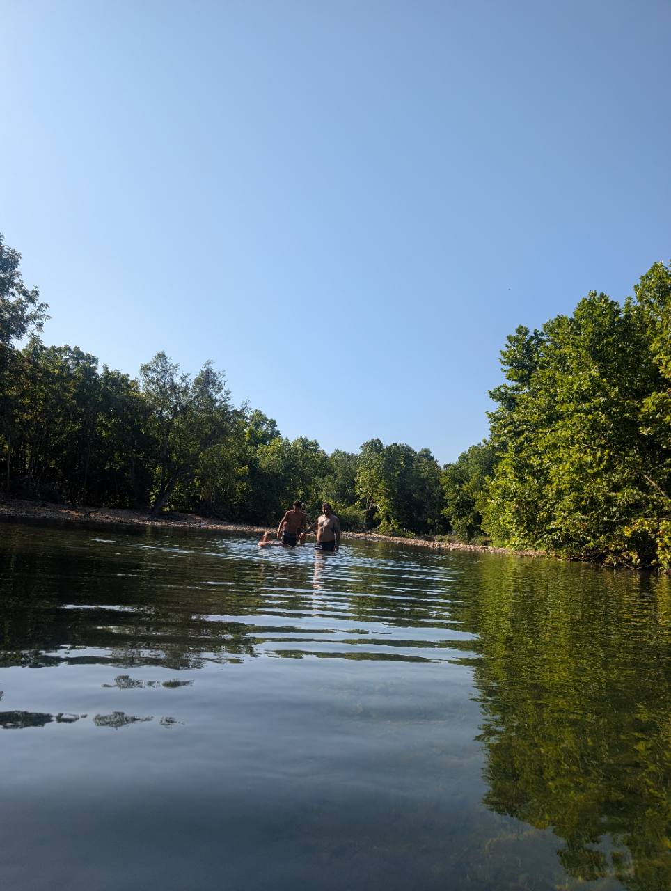 Clear reflective water and distant waders at Five Mile Creek