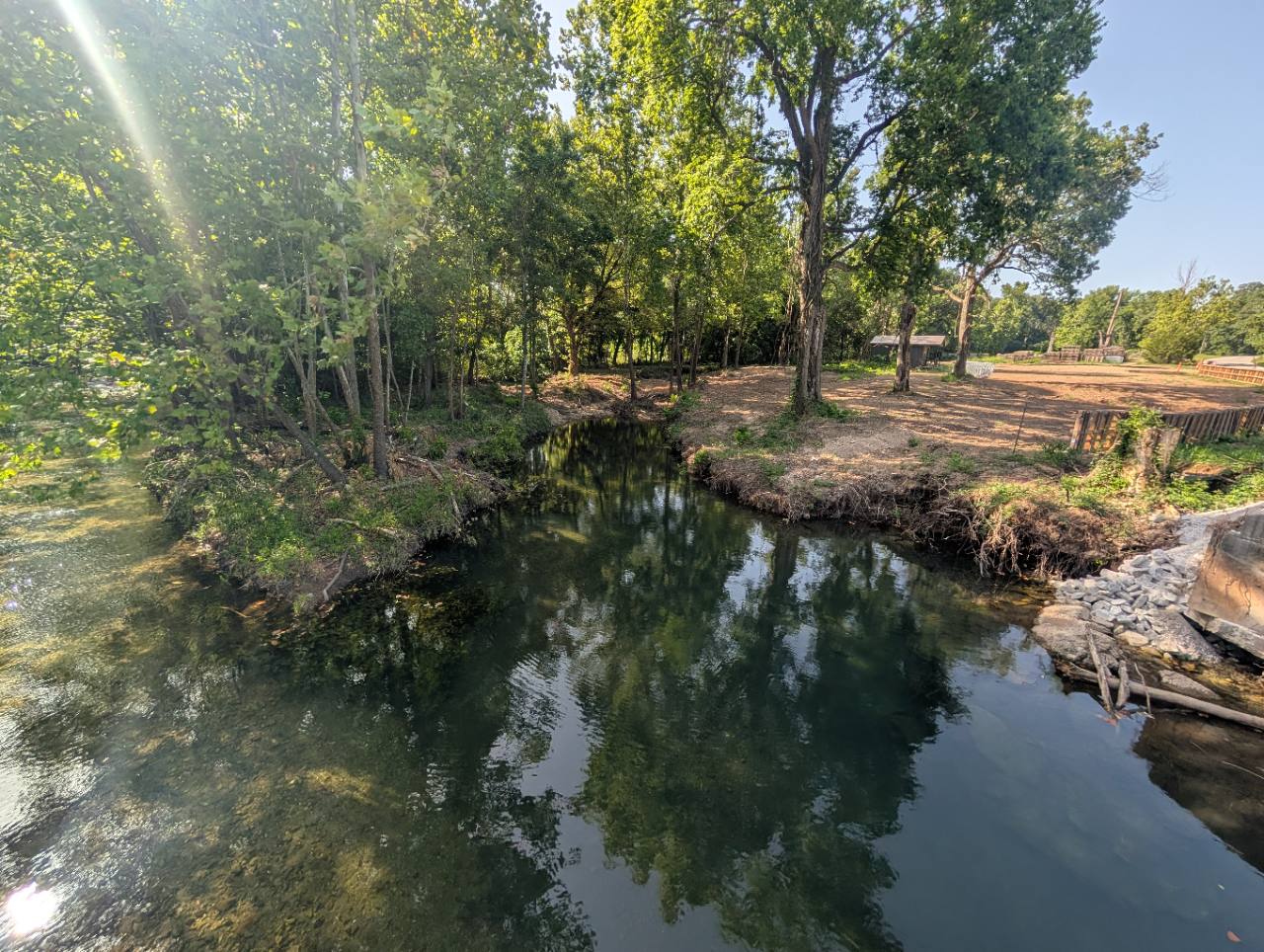 Tree-lined creek boundary near The Valley Cat Sanctuary area