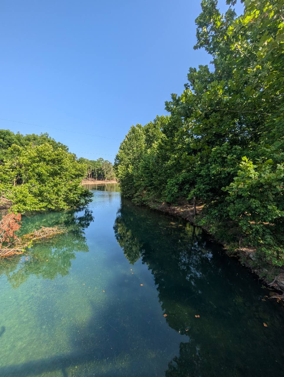 Clear tree-lined creek channel at Five Mile Creek